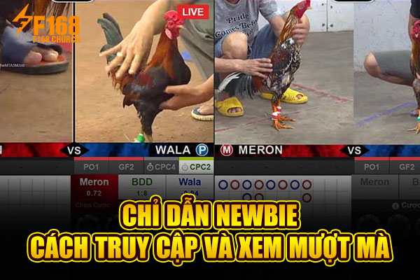 Chỉ dẫn newbie cách truy cập và xem mượt mà