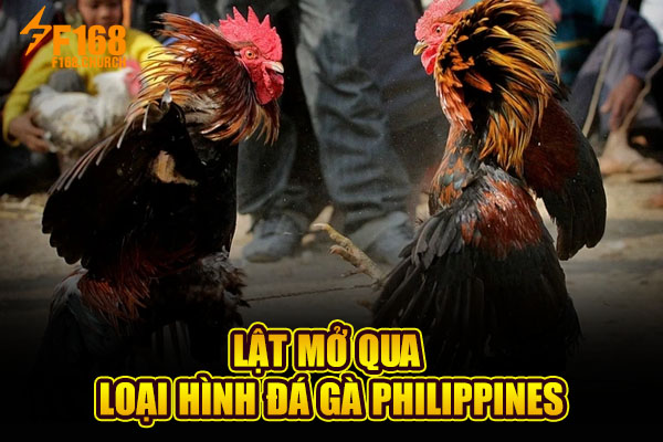 Đá Gà Philippines - Cá Cược Hợp Pháp Được Chính Phủ Bảo Hộ