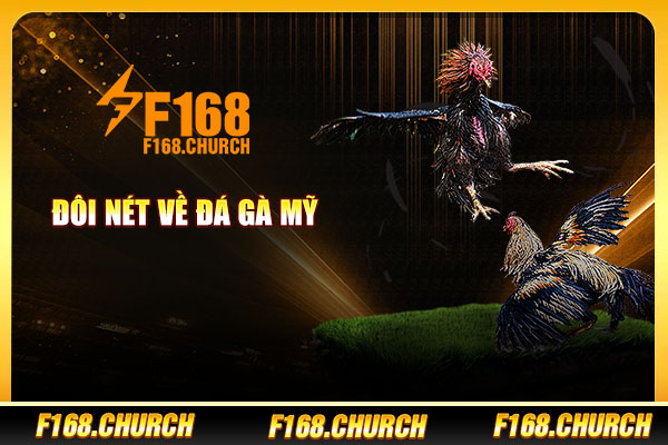 Đôi nét về đá gà Mỹ