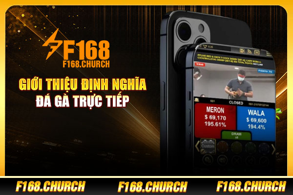 Giới thiệu định nghĩa đá gà trực tiếp Giới thiệu định nghĩa đá gà trực tiếp