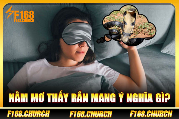 Nằm mơ thấy rắn mang ý nghĩa gì?