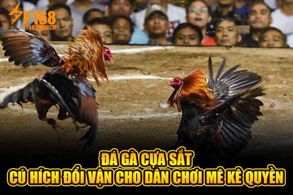 Đá Gà Cựa Sắt - Cú Hích Đổi Vận Cho Dân Chơi Mê Kê Quyền