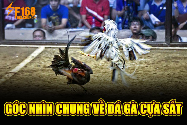 Góc nhìn chung về đá gà cựa sắt